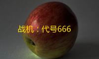 战机：代号666